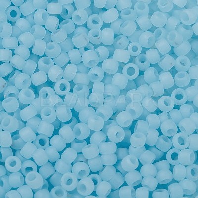 TOHO 8/0 Round Beads X-SEED-TR08-0143F-1