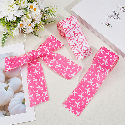 2Rolls 2 Colors Awareness Ribbon Pattern Polyester Ribbon OCOR-DC0001-31-1