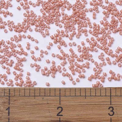 MIYUKI Delica Beads SEED-MY11-DB1363-1