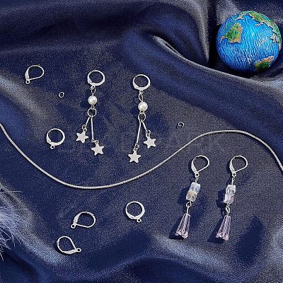 120Pcs 2 Style 304 Stainless Steel Leverback Earring Findings STAS-UN0038-45-1