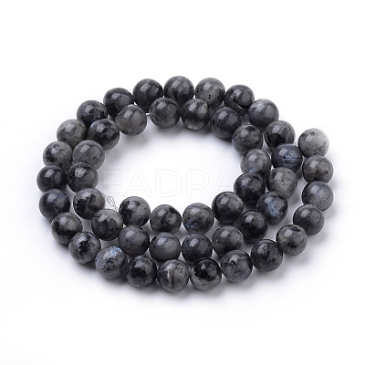 Natural Larvikite Beads Strands G-S259-06-6mm-1