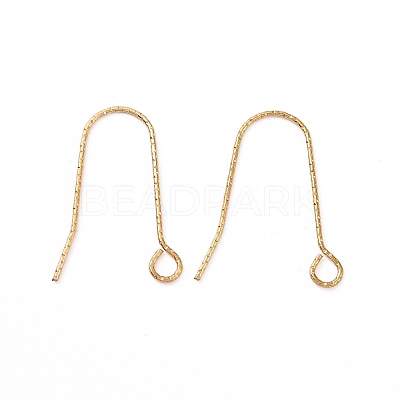 Ion Plating(IP) 316 Stainless Steel Earring Hooks X-STAS-C059-10G-1