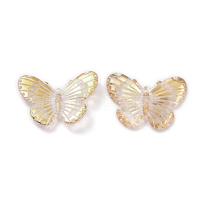 Transparent Acrylic Pendants TACR-A004-05A-02-1