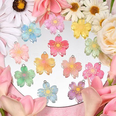 24Pcs 12 Colors Translucent Resin Pendants RESI-CJ0002-50-1