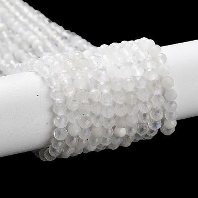 Natural Rainbow Moonstone Beads Strands X-G-J400-E12-01-1