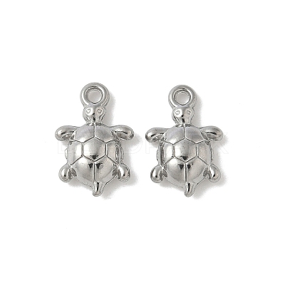 304 Stainless Steel Charms X-STAS-F320-01B-P-1