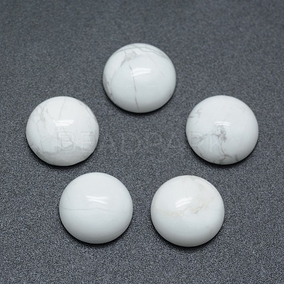 Natural Howlite Cabochons X-G-P393-R32-10mm-1