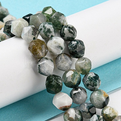 Natural Tree Agate Beads Strands G-C085-A03-01-1