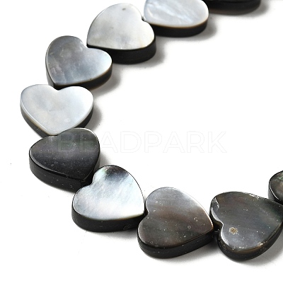 Natural Black Lip Shell Beads Strands BSHE-D300-06A-1