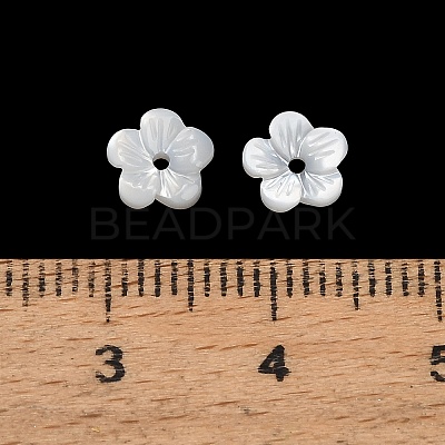 Natural White Shell Beads SH-CBA93AD-07A-1