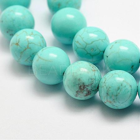 Natural Magnesite Beads Strands G-E384-01-12mm-1