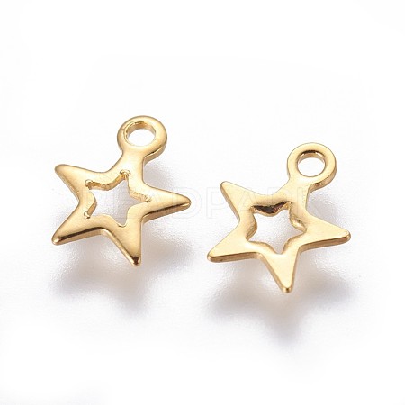304 Stainless Steel Charms STAS-F159-48G-1
