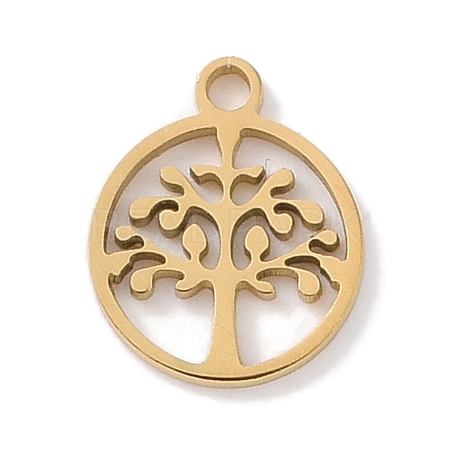 304 Stainless Steel Charms STAS-K286-01D-G-1