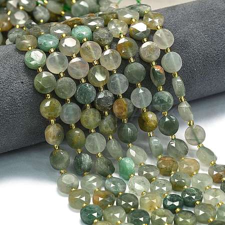 Natural Gemstone Beads Strands G-C116-A146-01-1
