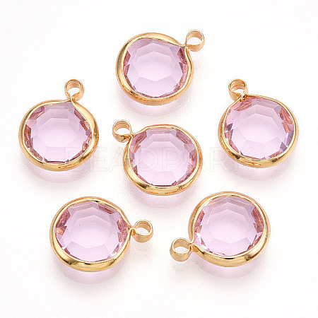 K9 Glass Charms GLAA-T023-37A-03-1