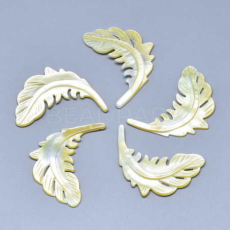 Natural Yellow Shell Pendants SSHEL-N036-063-1