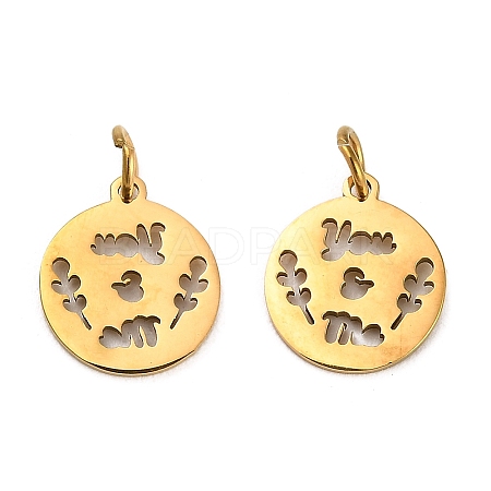 304 Stainless Steel Charms STAS-D050-07G-13-1