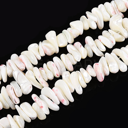 Natural Trochid Shell/Trochus Shell Beads Strands SSHEL-T017-29-1