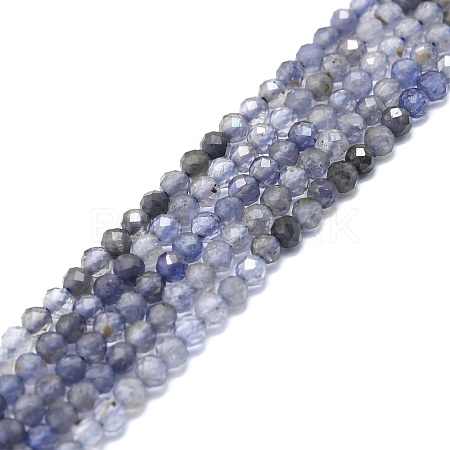Natural Iolite/Cordierite/Dichroite Beads Strands G-P457-A03-11-1