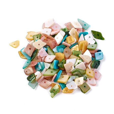 Shell Beads BSHE-I008-13-1