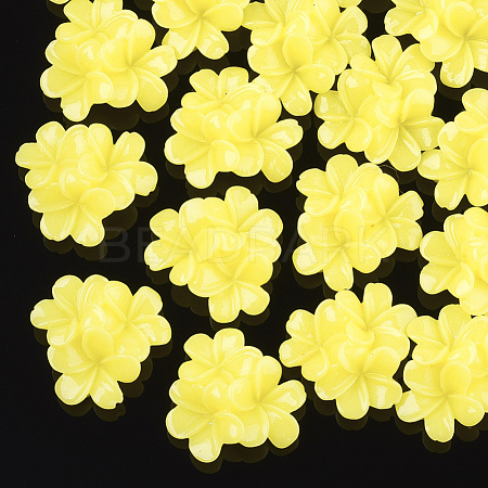Flatback Resin Flower Cabochons X-CRES-S240-A14-1