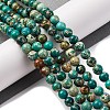Dyed Natural Regalite/Imperial Jasper/Sea Sediment Jasper Beads Strands X-G-B124-C02-13-2