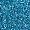 MIYUKI Round Rocailles Beads X-SEED-G009-RR0573-3