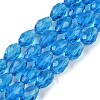 Transparent Glass Beads Strands EGLA-N013-T10mm-D17-1