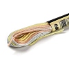 10 Skeins 6-Ply Polyester Embroidery Floss OCOR-K006-A53-2