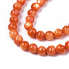 Natural Freshwater Shell Beads Strands SHEL-N003-24-B06-3