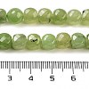Natural Prehnite Beads Strands G-H028-A05-01-5
