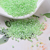 MIYUKI Delica Beads SEED-MY11-DB0237-1