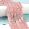 Natural Rose Quartz Beads Strands G-M403-B18-3