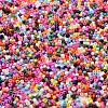 Baking Paint Glass Seed Beads X-SEED-S042-05B-48-3
