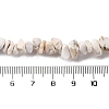 Magnesite Chip Bead Strands G-M205-75-4