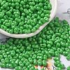 Baking Paint Glass Seed Beads SEED-K009-01A-15-1
