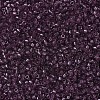MIYUKI Delica Beads SEED-X0054-DB1104-3