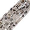 Natural Tourmalinated Quartz Beads Strands G-RM241221-O7-3