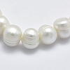 Natural Cultured Freshwater Pearl Beads Strands PEAR-K003-09A-01-3