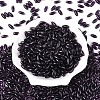 Transparent Colours Glass Seed Beads SEED-T007-16S-1