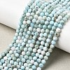 Natural Larimar Beads Strands G-F785-B01-02-1