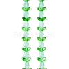 Transparent Glass Bead Strands GLAA-K070-02C-1