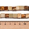 Natural Picture Jasper Beads Strands G-T139-8x8-27A-5