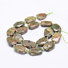 Natural Rhyolite Jasper Beads Strands G-J373-24I-3