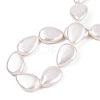 Electroplate Natural Freshwater Shell Beads Strands SHEL-R049-026A-4