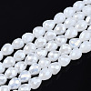 Electroplate Glass Beads Strands EGLA-T008-15D-1