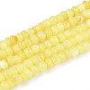 Natural Freshwater Shell Dyed Beads Strands SHEL-T020-29B-09-1