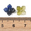 Baking Paint and Golden Metal Enlaced Glass Beads DGLA-T004-15M-3