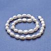 Grade AA Natural Cultured Freshwater Pearl Beads Strands PEAR-P060-26A-2