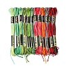 6-Ply Polyester Embroidery Floss OCOR-FZ0001-01C-1
